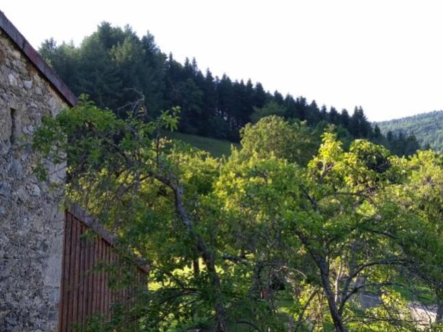 La Caminada Villa Fougax-et-Barrineuf Екстериор снимка